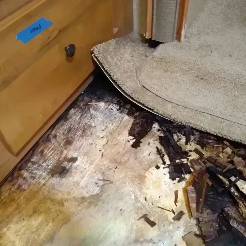 Best Wood Floor Water Damage Service in North Miami Beach, FL